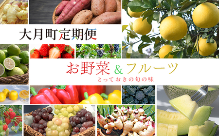 【定期便 10回】旬のお野菜 フルーツ セット 新鮮 産地直送 果物 健康志向 ギフト 柑橘 いちご