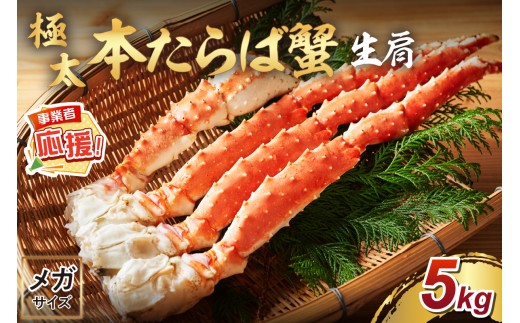 【2肩約5kgの超極太10L以上メガサイズ】一番人気！ 本たらば蟹 生肩 約5kg【ふるさと納税3.0】【087A-005】