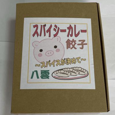 ふるさと納税 八雲町 スパイシーカレー餃子(10個×4箱) |  | 02