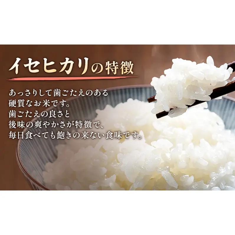 【先行予約】食べ比べ イセヒカリ 新之助 2kg×2 イセヒカリ 山本農園