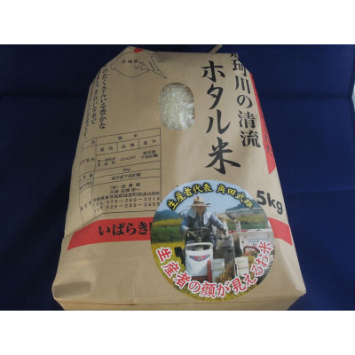 ★☆ 関東地方限定配送 ☆★ 精米 5kg ほたる米【令和7年産】お米 米 ご飯 城里町 桂農産 ＼那珂川の清流ホタル米／【配送不可地域：関東以外】 (AX009)