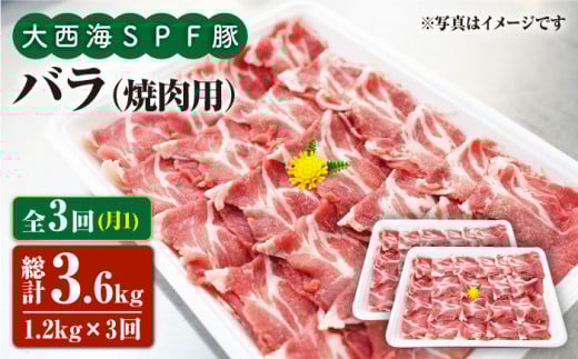 【月1回1.2kg×3回定期便】大西海SPF豚 バラ（焼肉用）計3.6kg 訳あり ＜大西海ファーム＞ [CEK082]