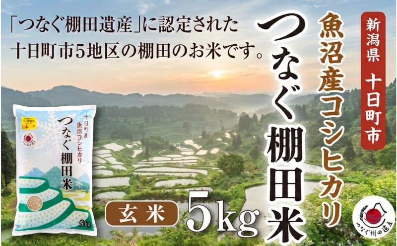 玄米5kg 令和7年産新潟県十日町市魚沼産コシヒカリ「つなぐ棚田米」 米 こしひかり 玄米 十日町市
