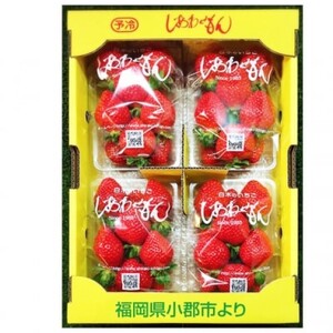 いちご いちご職人 白木のいちご あまおう 300g×4パック詰め (M～3Lサイズ) イチゴ 苺 果物 デザート ※配送不可：沖縄・離島・北海道・東北