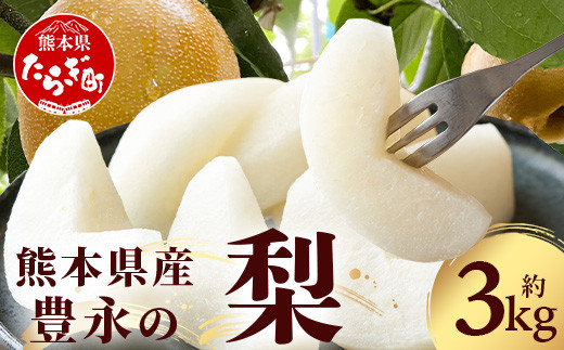 【2026年8月中旬～順次発送】熊本県産 梨 約3kg  【 熊本県 多良木町 ナシ 幸水 新高 新興 豊水 秋月 秋麗 果物 フルーツ 熊本県産 】070-0593