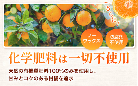 こだわりの 有田 みかん 4kg＋150g(傷み補償分) 【ご家庭用】 ※北海道・沖縄・離島配送不可 ※2027年1月発送予定【nuk004-c-4-janH】