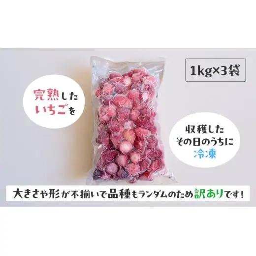 【訳あり】冷凍いちご　3kg (1kg×3袋)