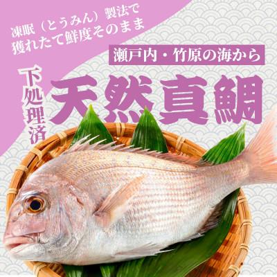 ふるさと納税 竹原市 瀬戸内 天然真鯛 丸ごと姿(うろこ・内臓除去済) 2〜3匹入り 合計1kg |  | 01