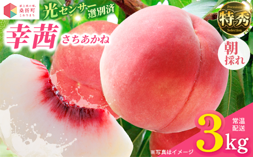 もも【幸茜・2026年産】特秀　3kg　桑折町産　JAふくしま未来　桃　献上桃の郷　【07301-0140】