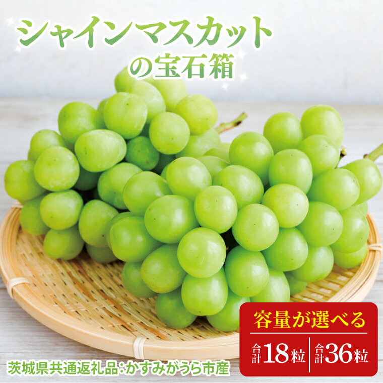 【ふるさと納税】【先行予約】【お歳暮】シャインマスカットの宝石箱（茨城県共通返礼品：かすみがうら市）|プレゼント 贈答 贈り物 ぶどう 葡萄 ブドウ マスカット 茨城県 大子町（CD189）