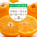 【ふるさと納税】2月29日まで受付中_ ミヤモトオレンジガーデンの 不知火 1.5kg・ せとか 1.5kg 食べ比べ セット 【 訳あり 】C25-141_ デコポン と同品種 しらぬい みかん の 大トロ オレンジ フルーツ 旬 果物 柑橘 愛媛県 愛媛 人気 愛媛みかん わけあり 【1283421】