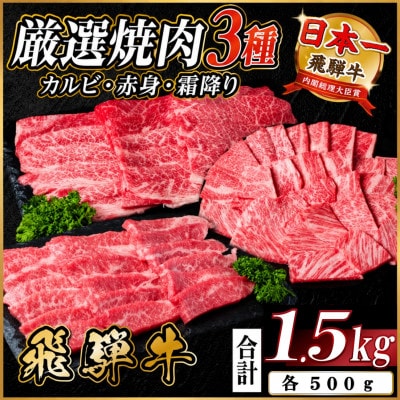 飛騨牛 焼肉3種(カルビ・赤身・霜降り) 計1.5kg【配送不可地域：離島】