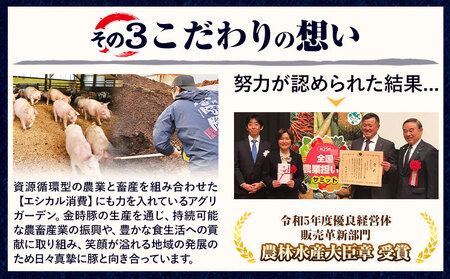 【贈答用】〈阿波の金時豚〉4種 960g詰合せ 豚肉