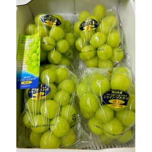 岡山県産 シャインマスカット『晴王』 3～5房 (約2kg)【配送不可地域：離島・北海道・沖縄県】【1499103】