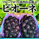 【ふるさと納税】2025年先行予約 山梨県山梨市産　旬の採れたてピオーネ　約1kg　2～3房【配送不可地域：離島】【1459463】