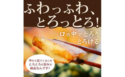 定期便 3回 天ぷら 6種 詰め合わせ セット おつまみ おやつ おかず 個包装 ソウルフード ご当地 グルメ 徳島県 料理