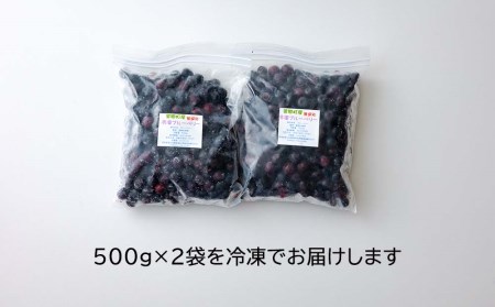 【数量限定】ブルーベリー 冷凍 1kg 500g×2袋 手摘み ヨーグルト ピッタリ 宮崎県産 美郷町産 送料無料 おやつ お菓子 朝ごはん 朝ご飯 小分け