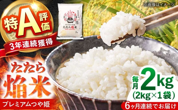 
            白米【全6回定期便】たたら焔米 雲南市プレミアムつや姫 2kg(2kg×1袋) 2025年産 新米 おこめ こめ お米 ごはん はくまい 精米 ブランド米 ブランド たたら ほむらまい 焔米 特別栽培米 産地直送 農協 JA 人気 おすすめ おいしい うまい 得A 2キロ 小分け 定期便 もちもち 食感 大きい粒 生活島根県雲南市/島根県農業協同組合 雲南地区本部 頓原加工所 [AIBR019]
          