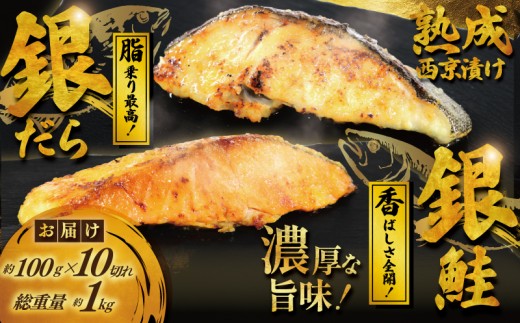 銀鱈 銀鮭 西京漬け セット 2パック 計約 1kg( 1パック 約100g × 5切 計約 500g ) 西京味噌 西京みそ 味噌漬け みそ 味噌 鮮魚 魚介 銀だら 銀ダラ 鱈 タラ 鮭 しゃけ サーモン シャケ 魚 西京焼き 西京漬 西京やき 冷凍 鮮魚 漬け魚 漬魚 新鮮 小分け おかず おつまみ 惣菜 魚喜 神奈川 湘南 藤沢