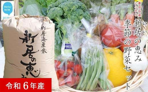 
            白米 えひめ未来農業協同組合 ブランド米 「新居の恵み （にこまる） 令和6年産」 5kg と 季節の野菜 約2kg セット （クール便でお届け）
          