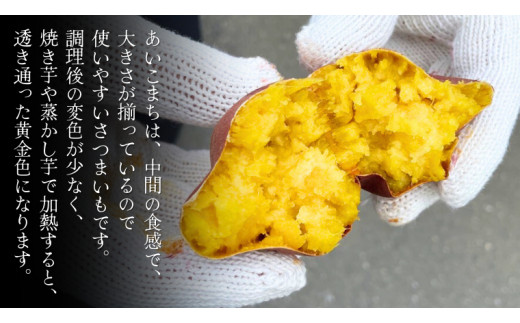 《 2026年 収穫分 》 あいこまち 約 10kg (茨城県共通返礼品 行方市) 先行予約 渋谷農園 国産 茨城県 桜川市 さつまいも サツマイモ いも 芋 新芋 焼き芋 やきいも 野菜 旬 人気 おやつ 自宅用 家庭用 [DT014sa]