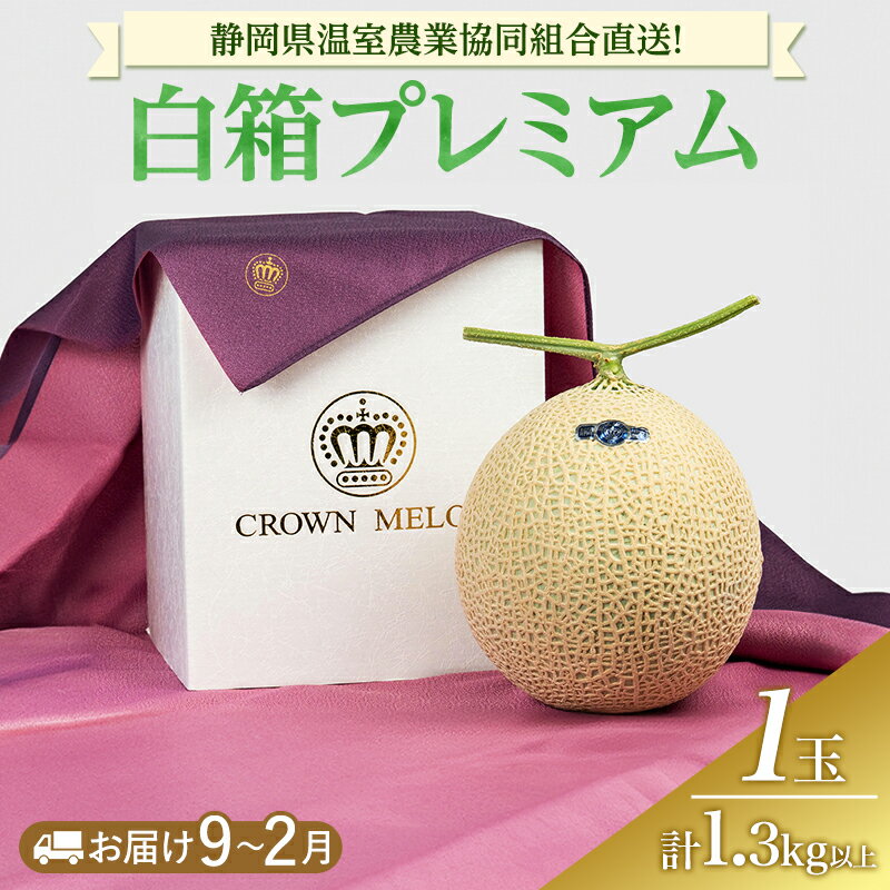 【ふるさと納税】白箱プレミアム (冬9～2月) 果物 メロン 青肉 フルーツ デザート 高級メロン ブランドメロン 袋井市 静岡県　お届け：2025年9月1日～2026年2月28日まで