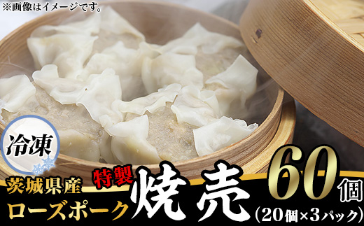たっぷり60個！ 茨城県産ローズポークのジューシー特製焼売 60個 ( 冷凍 20個 × 3パック ) 【 ジューシー 茨城ブランド豚 ローズポーク 豚肉 小麦 春よ来 使用 もちもち ぷりぷり しゅうまい シューマイ 中華 餃子人気 飲茶 豚肉 】
