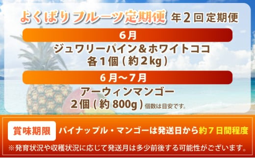 マツコの知らない世界で紹介！幻のホワイトココ＆最高糖度20度⁉完熟マンゴーの定期便年２回に分けてお送りします《2027年6月以降発送》 | 先行予約 沖縄 石垣 ピーチ マンゴー パイン パイナップル