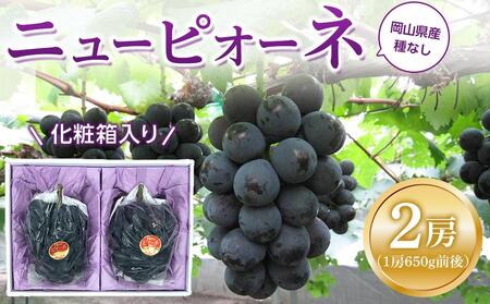 ぶどう 2026年 ニュー ピオーネ 2房（1房約650g前後）産地直送 ぶどう ピオーネ