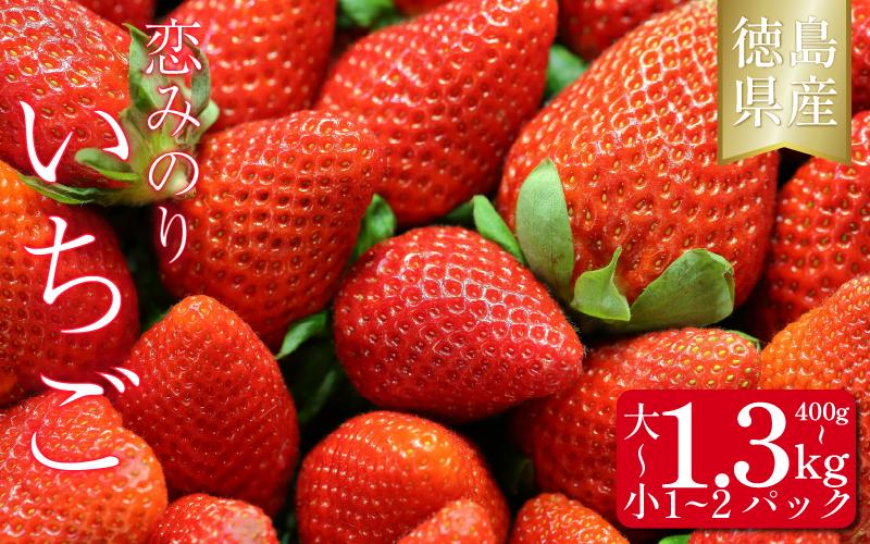 
            いちご 恋みのり 400g ～ 1.3kg 選べる容量 果物 フルーツ 苺 ストロベリー ジャム スムージー 洋菓子 家族 子ども フルーツサンド フルーツ大福 いちご大福 苺大福 人気 オススメ お取り寄せ グルメ いちご狩り いちごはうす 近藤 民宿 農家民宿 徳島 三好 みよし
          