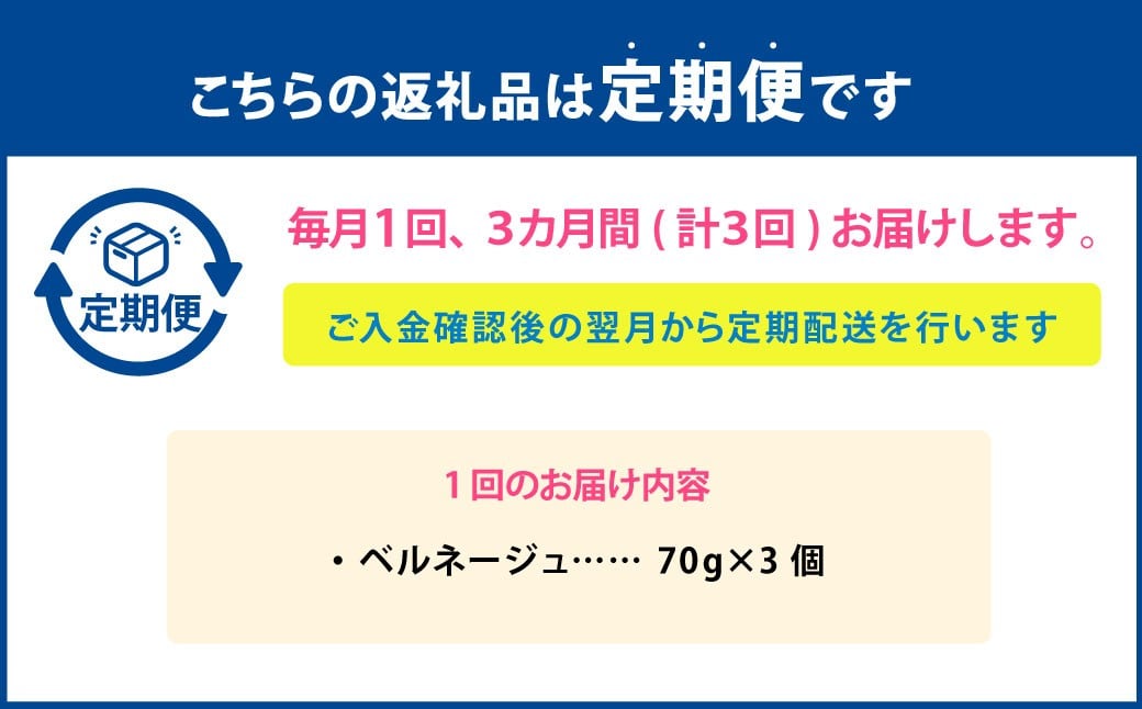 【3ヶ月定期便】 ベルネージュ 70g×3個セット 定期便3回 計9個 チーズ 白カビチーズ 生クリーム入り 白カビ 生乳 濃厚 おつまみ お酒のお供 おやつ 料理 乳製品 加工食品 [027-011