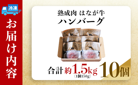 ＜熟成肉 はなが牛ハンバーグ 10個（1個150g）＞ 肉 お肉 牛肉 牛 ビーフ 牛100％ 肉加工品 お惣菜 洋食 おかず 弁当 ランチ ディナー 国産 小分け 個包装 簡単調理 特産品 ゆうぼく
