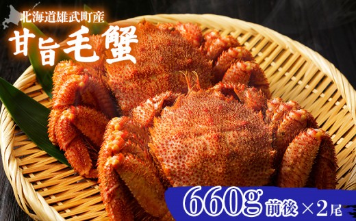 【北海道雄武町産】やわらか殻の甘旨毛蟹 660g前後×2尾 | 毛ガニ カニ かに 蟹 殻付き 浜茹で ジューシー 海産物 海鮮 冷凍 鮮度直送 柔らかい 食べやすい 蟹料理 ギフト おすすめ 贈答用 鮮魚 食材 海の幸 お取り寄せ 北海道 雄武町 雄武【21022BA0101】