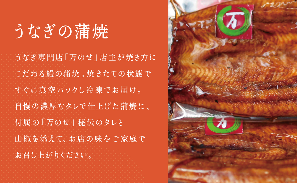鹿児島県産 鰻 蒲焼2尾・おむすび6個 セット 詰合せ 詰め合わせ ギフト 贈答品 贈り物 手土産 御祝 お祝い 国産 鹿児島うなぎ 鰻 蒲焼き ウナギ うなぎ蒸しお結び おにぎり スタミナ 土用の丑の日 山椒 うなぎ専門店「万のせ」鹿児島県 南さつま市