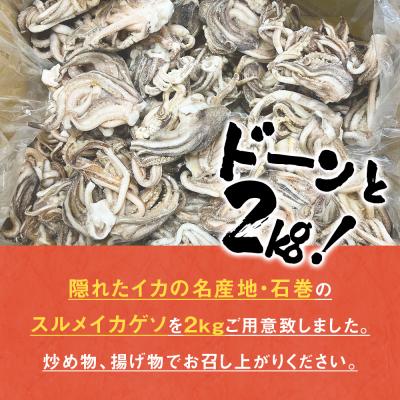 ふるさと納税 石巻市 訳あり 石巻産スルメイカゲソ 2kg 1月配送 冷凍 国産 いか 下足 おつまみ ゲソ天 石巻市 |  | 01
