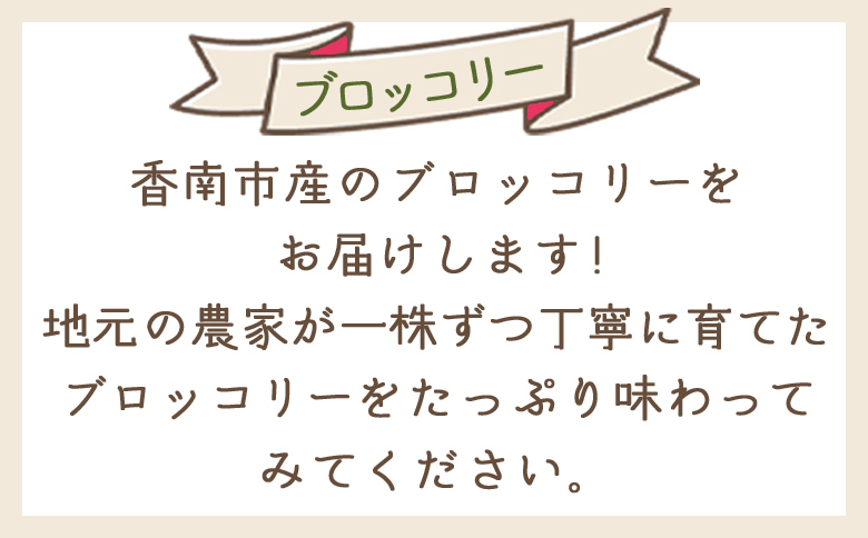 【2025年11月末以降発送】ブロッコリー 1kg 家庭用 - 国産 野菜 緑黄色野菜 青果 サラダ グラタン ご家庭用 不揃い 傷 やすらぎ市 高知県 香南市 冷蔵 yr-0086