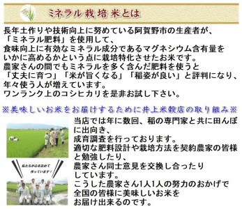 【令和7年産新米】3ヶ月定期便 ミネラル栽培こしひかり 5kg×3回 計15kg 白米 精米 井上米穀店 1I12046