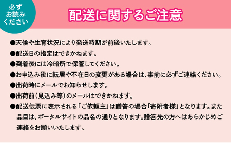 ＜2024年先行予約＞厳選！山梨県笛吹市産 巨峰 約1.0kg（2～3房） 156-011