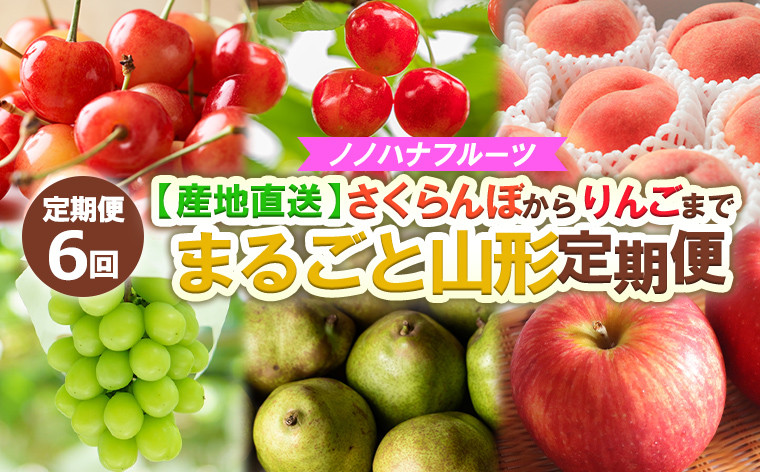 
            【定期便6回】ノノハナフルーツ さくらんぼからりんごまで 【産地直送】 まるごと山形定期便 【令和7年産先行予約】FS24-719
          