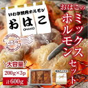 【ふるさと納税】ギフト用【無地熨斗】【新鮮ホルモン焼肉】焼肉専門店よりお届け！おはこミックスホルモンセット600g！