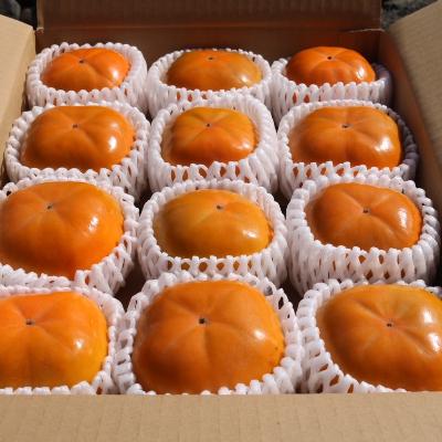 ふるさと納税 那智勝浦町 和歌山県産　柿　約2.5kg　秀品