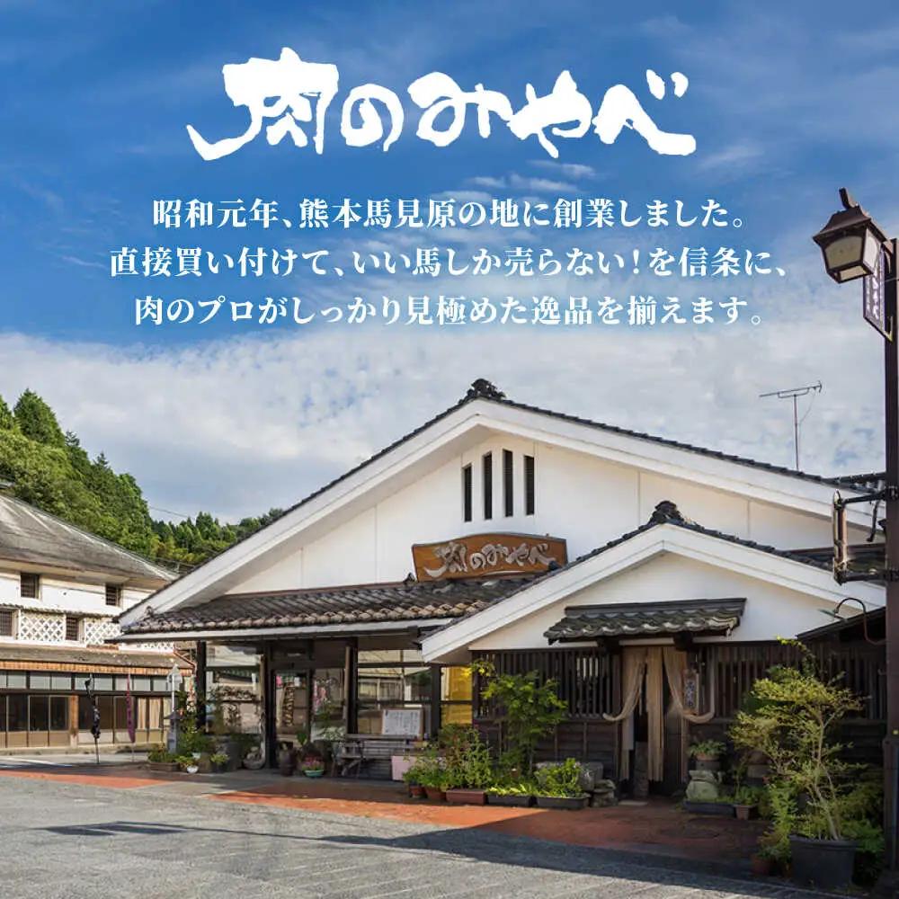 【全12回定期便】熊本肥育 馬刺し 赤身 約500g 馬刺し[AYDM008]