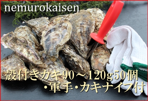 【北海道根室産】殻付カキ90～120g×50個 D-57027