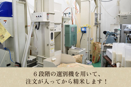 【令和7年産】新潟産コシヒカリ「伝」白米真空パック 精米10kg（5kg×2）《9月下旬〜順次出荷》