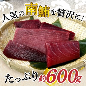 訳あり 天然 南鮪 赤身 約600g 訳あり OR FN-SupportProject OR 増量 OR 年末企画 訳あり (a10-858)
