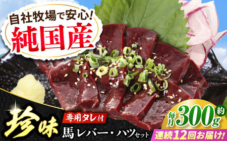 【全12回定期便】『純国産』熊本の味 馬 珍味 セット 計約200g レバー ハツ 刺身タレ付【有限会社 九州食肉産業】[AYCN106]