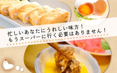《月2回 × 20個 12ヶ月コース》卵 てつやとのりこの玉子 全24回定期便 糸島市 / 板垣ファーム  [AWD014] 玉子 たまご 卵 ビタミン卵 ミネラル卵 福岡卵 九州卵 ビタミンたまご 