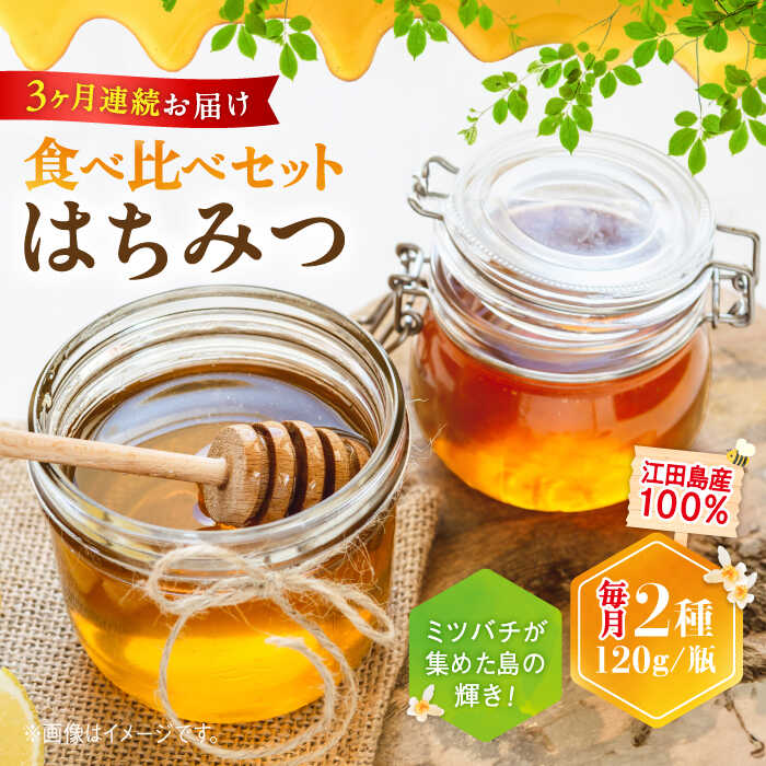 【ふるさと納税】【全3回定期便】江田島産100％ はちみつ 2種 食べ比べ セット（120g×3本）はちみつ ハチミツ 蜂蜜 ジャム ハニー 非加熱 純粋はちみつ パン 国産 常温 備蓄 保存食 非常食 セット 小分け ギフト 広島県 人気 送料無料 江田島市/はつはな果蜂園 [XCD027]