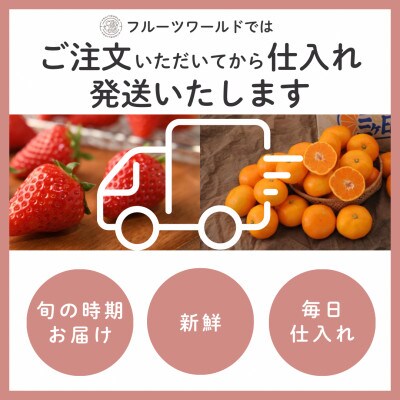 【2027年先行受付】静岡県磐田市 いちご 紅ほっぺ 約260g×2パック【配送不可地域：離島・北海道・沖縄県】