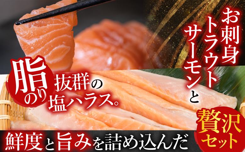 お刺身トラウトサーモン3kg＆塩サーモンハラス3.3kg【12/31決済分まで1月中配送】 D-09014